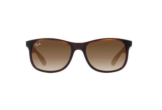 RB4202-607313-BROWN-1 RB4202 607313