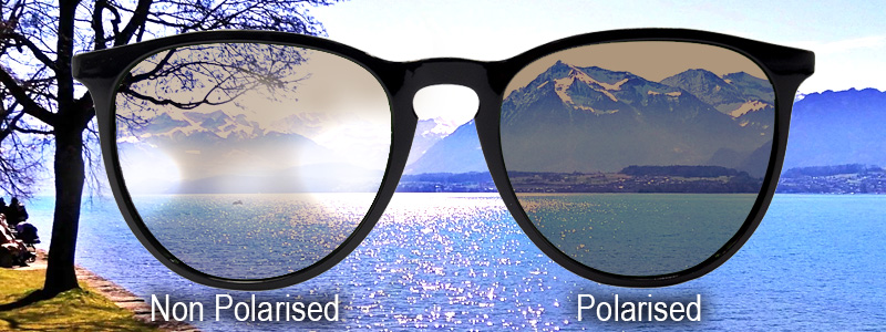 Polarised lenses vs non-polarised lenses