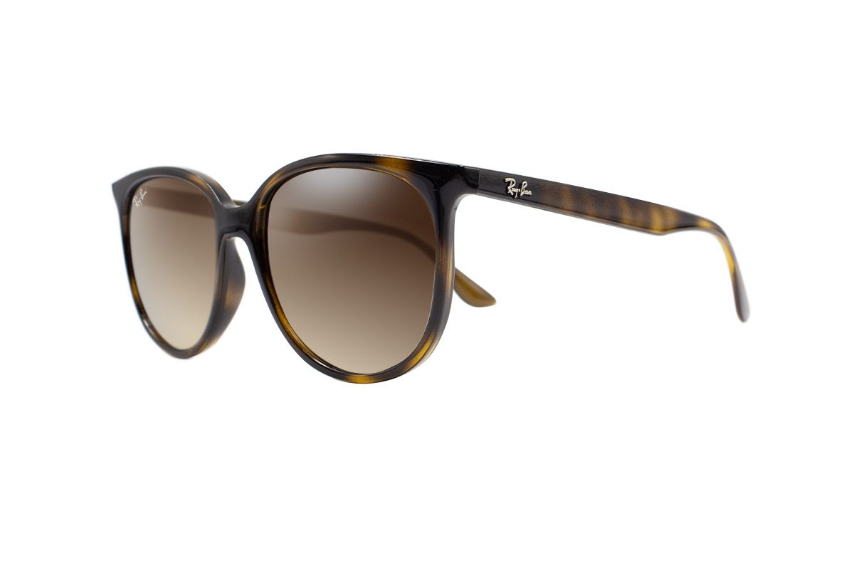 Ray-Ban RB4378 710/13